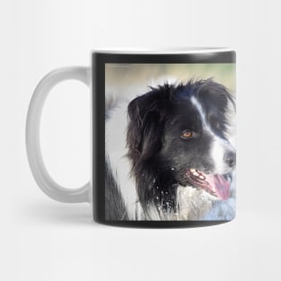 Border Collie dog in the snow Mug